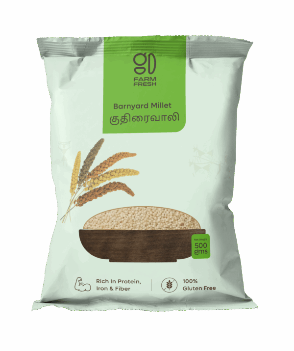 Barnyard Millet / Kuthiraivali (குதிரைவாலி)