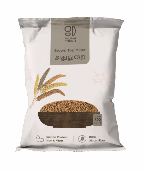Brown Top Millet / Adhuthurai (அதுதுறை)