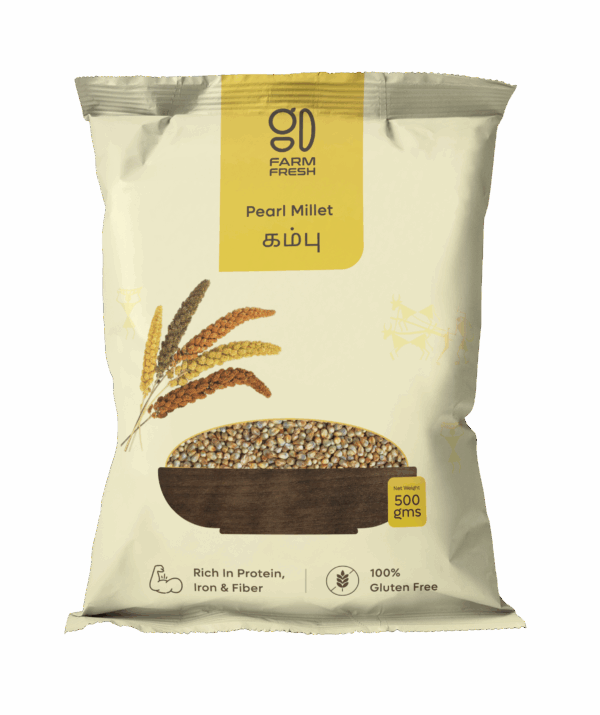 Pearl Millet / Kambu (கம்பு)