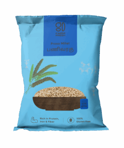 Proso Millet / Panivaragu (பணிவரகு)