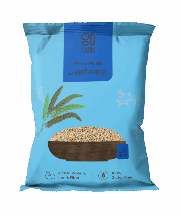 Proso Millet / Panivaragu (பணிவரகு)