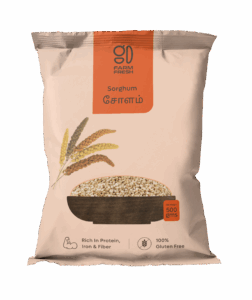 Sorghum / Cholam (சோளம்)