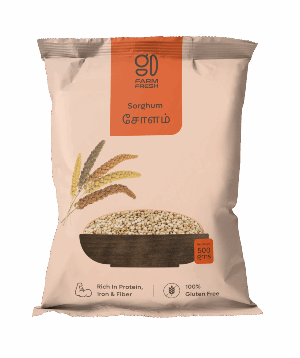 Sorghum / Cholam (சோளம்)