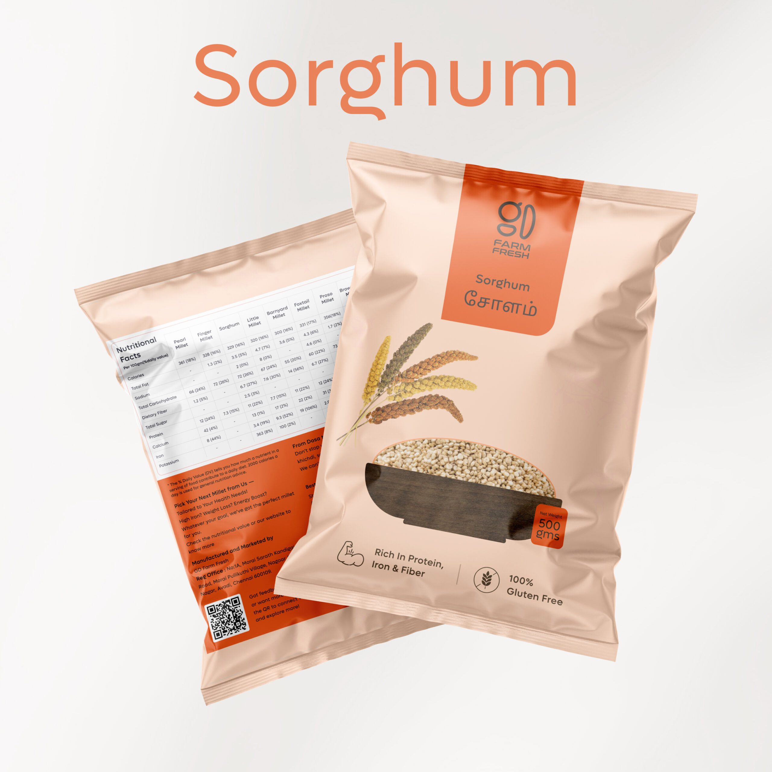 Sorghum / Cholam (சோளம்)